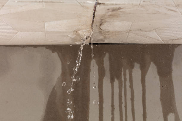 Professional Sewage Cleanup technician working in Waverly, IL